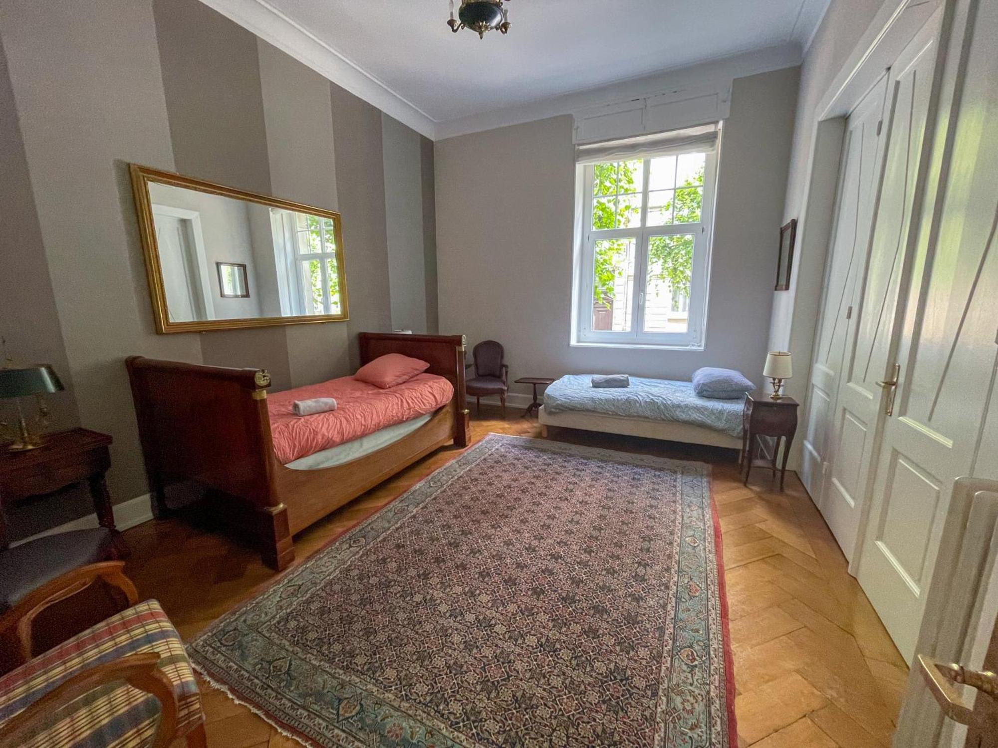 Appartement De Standing 200M² Strasbourg Eksteriør billede