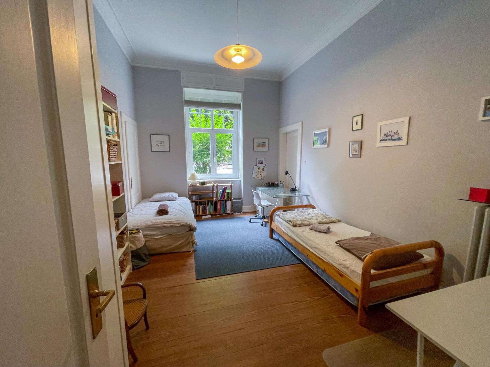 Appartement De Standing 200M² Strasbourg Eksteriør billede